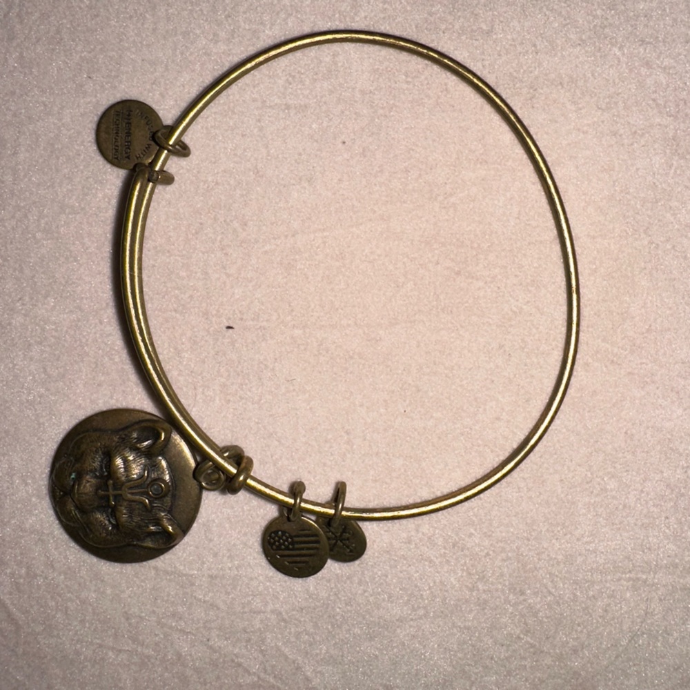 Alex & Ani Bracelet